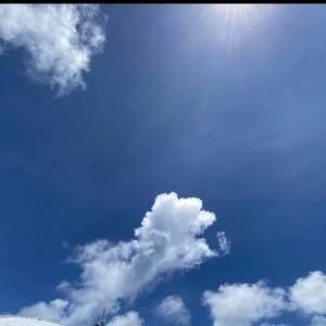 Meet your Posher, Jodi